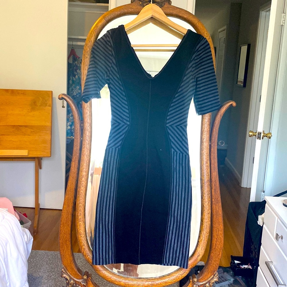 Ladies Dress BCBG
